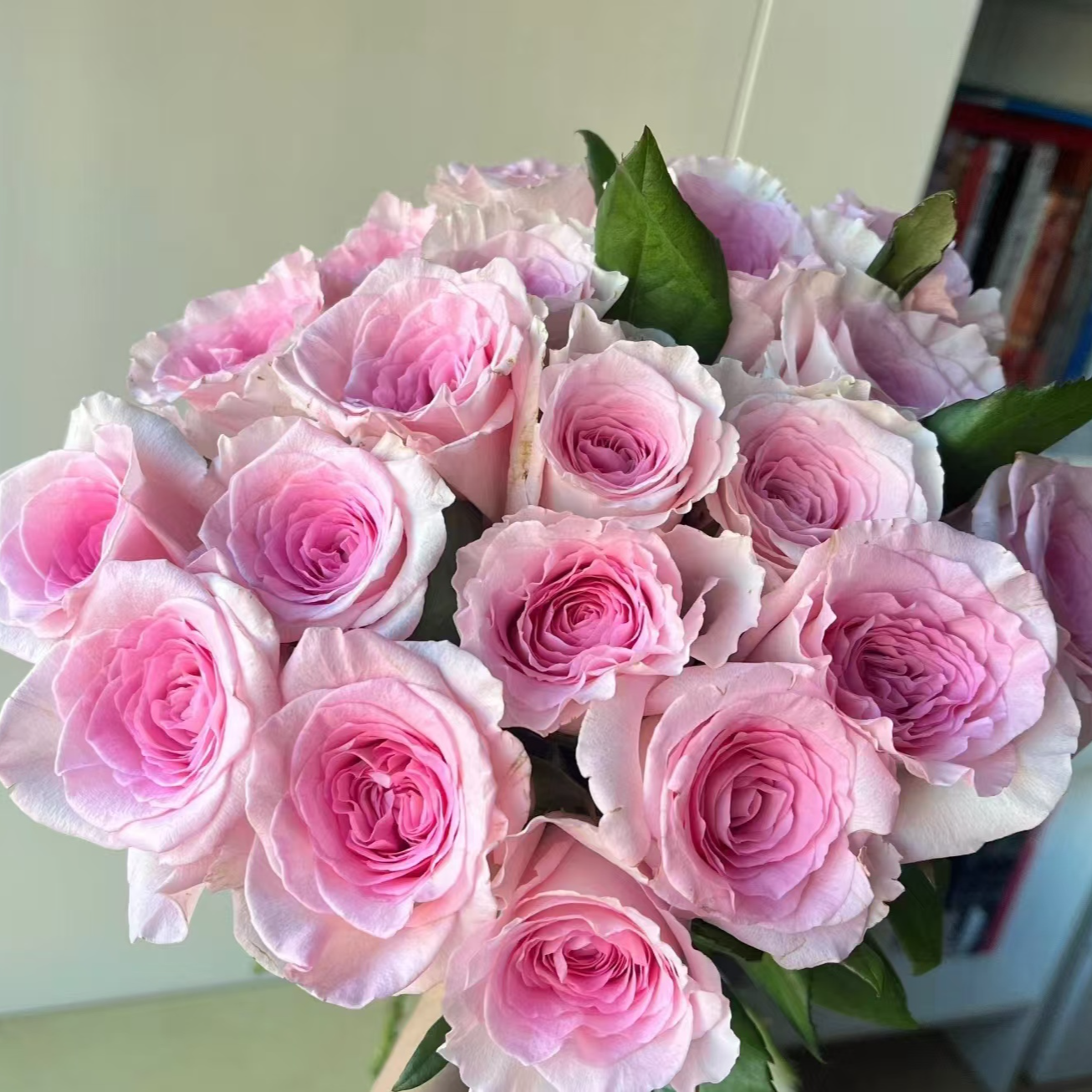 洛神玫瑰【收到花一定要醒花，不会的请联系客服】