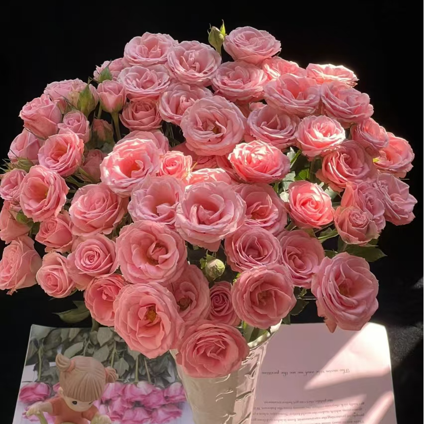 露露公主多头玫瑰【收到花一定要醒花，不会的请联系客服】