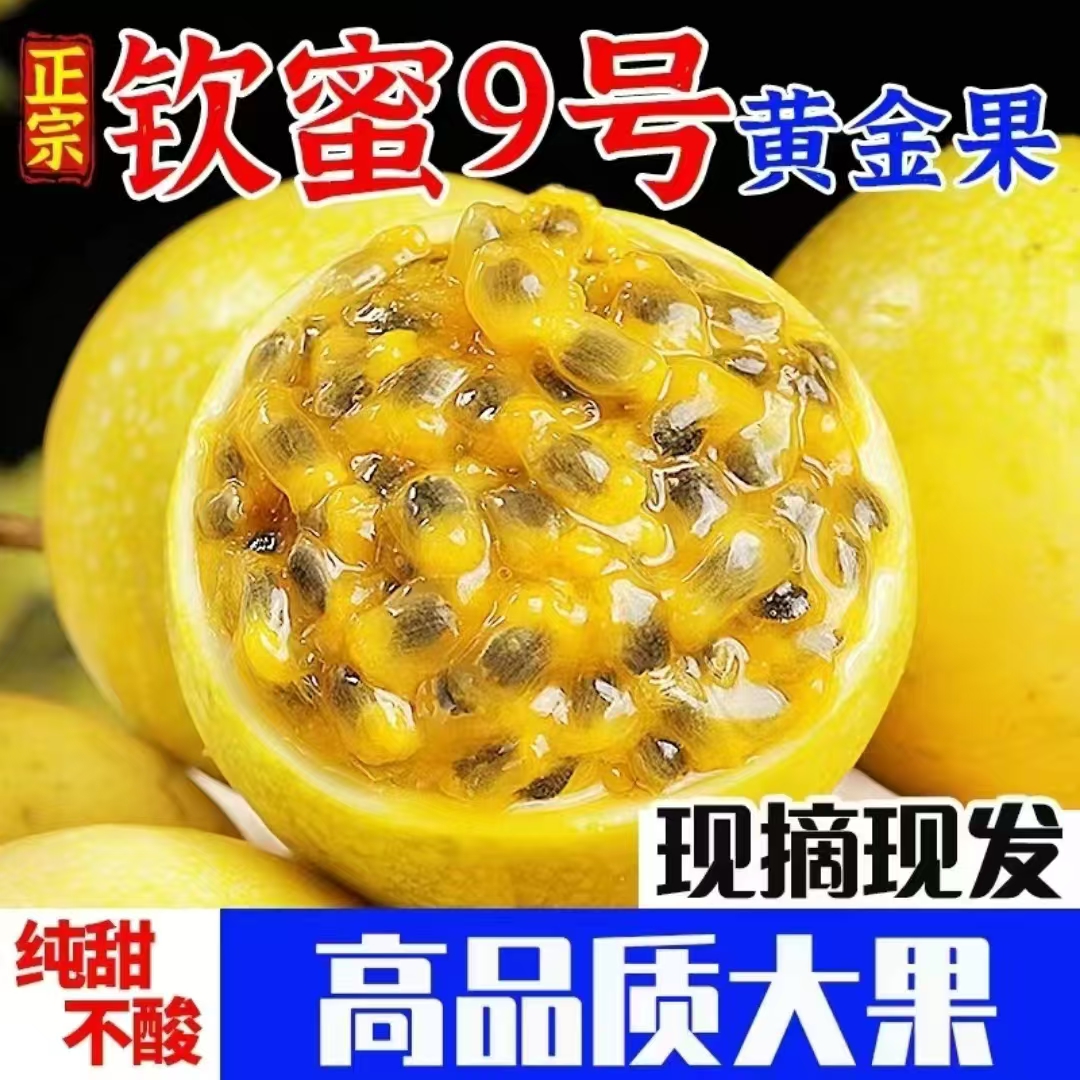 黄金果特大果百香果