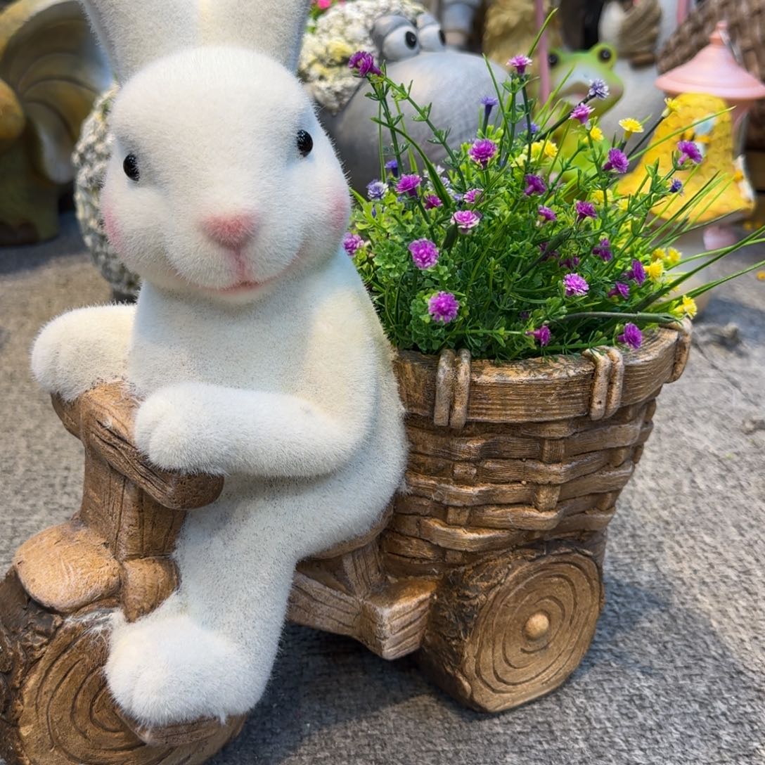 园艺植物栽培园艺