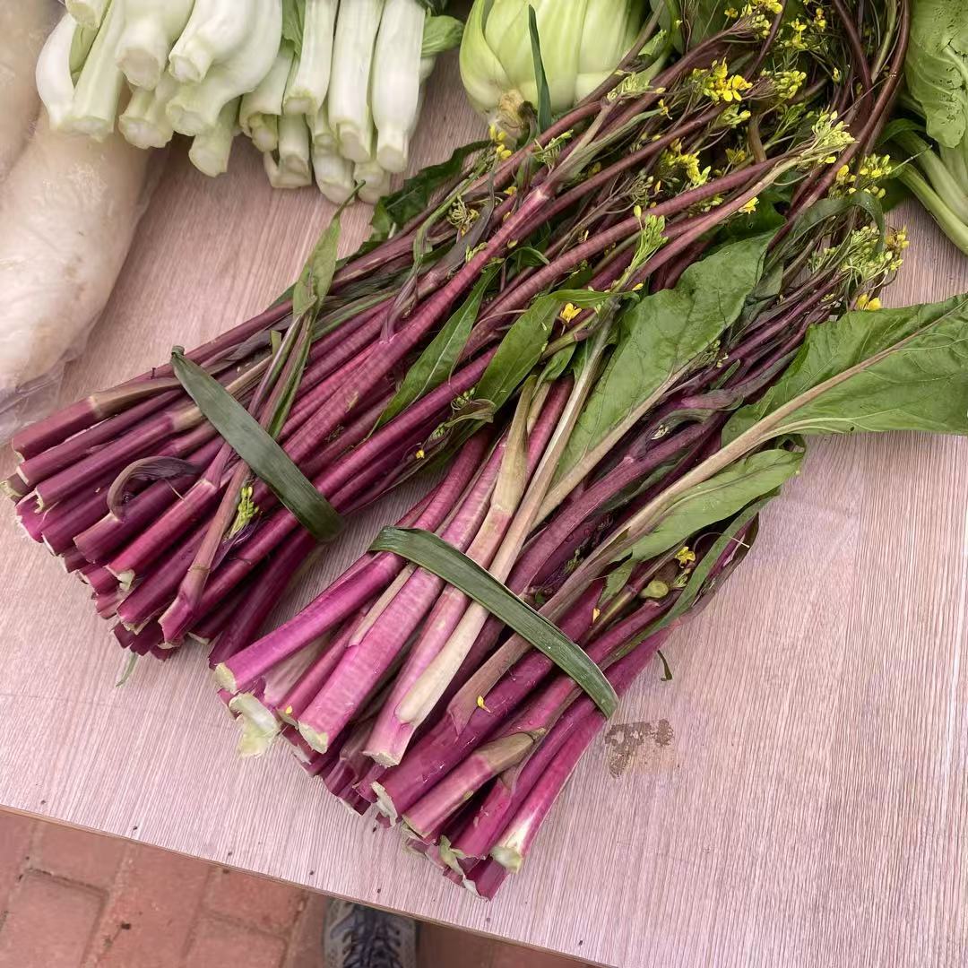 农家自种蔬菜  红菜苔3斤（有虫眼，介意勿拍）