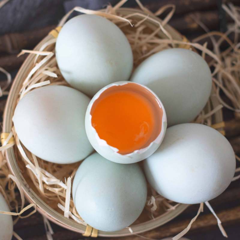 【土鸭蛋】20枚/盒 大别山农家散养新鲜土鸭蛋（坏蛋双倍赔）