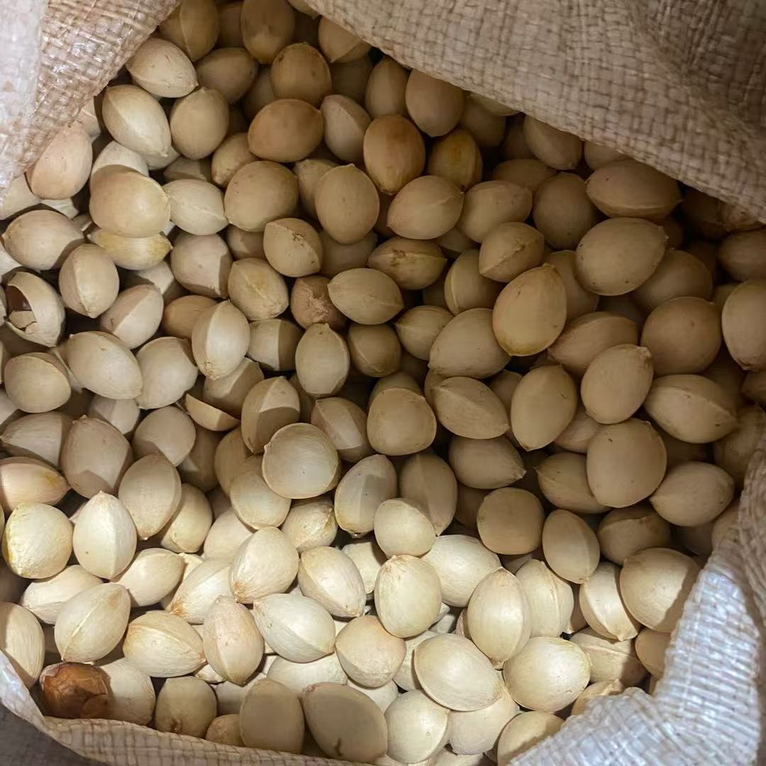 【银杏果】净重2斤 大别山老乡干货