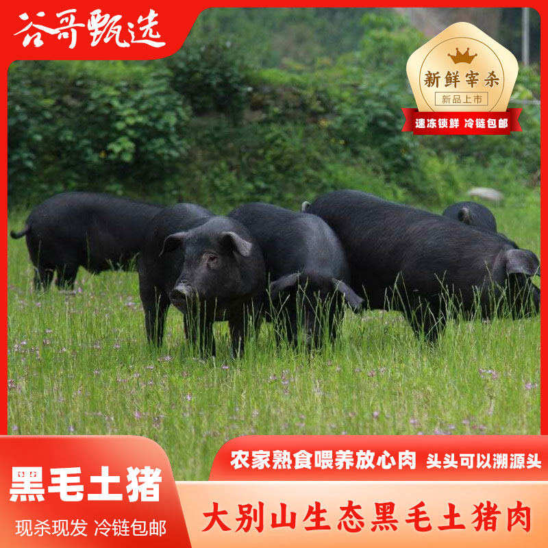（郭书记）大别山农家黑毛土猪肉 现场散称  顺丰冷链包邮1-100