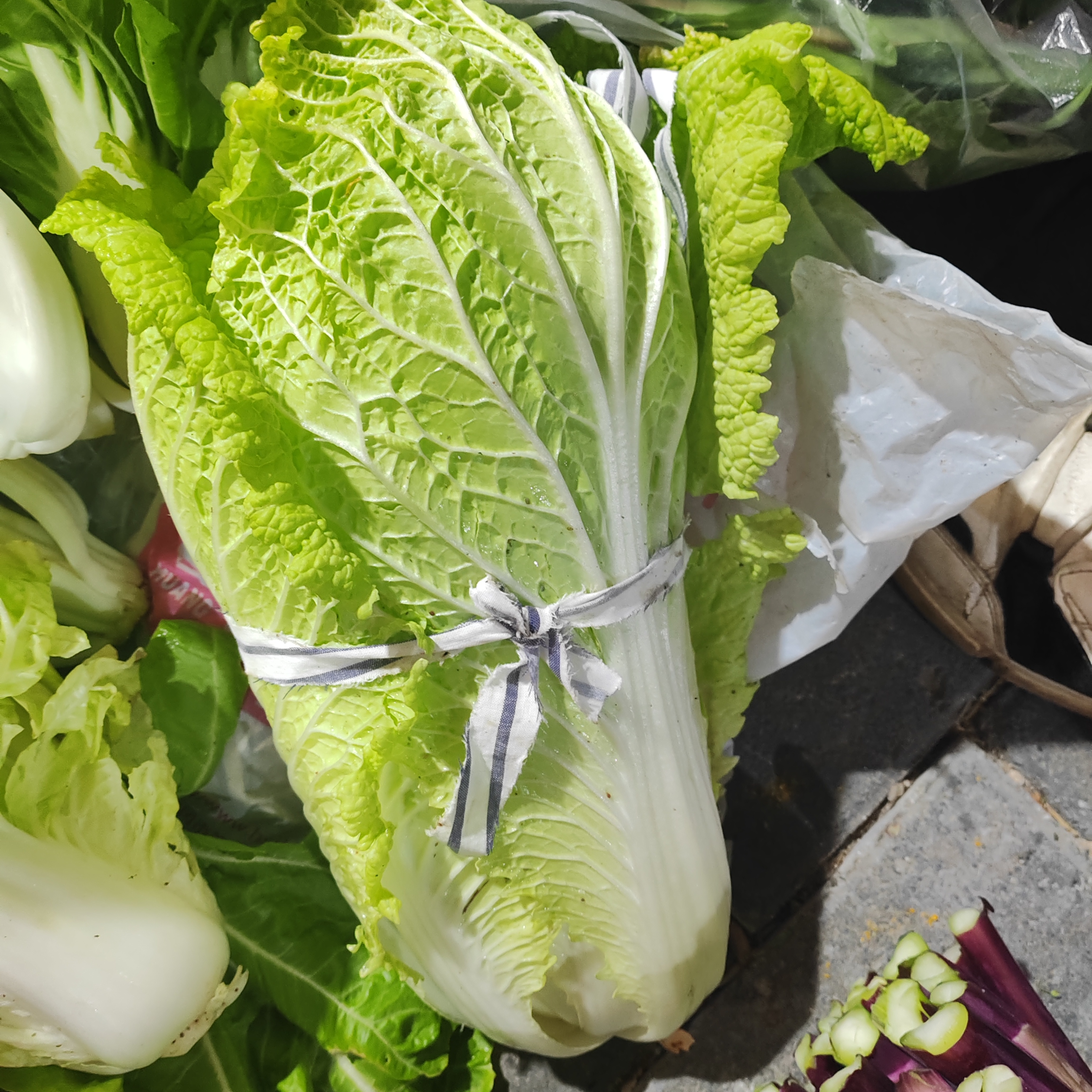 农家自种蔬菜  农家自种大白菜3斤（有虫眼，介意勿拍）