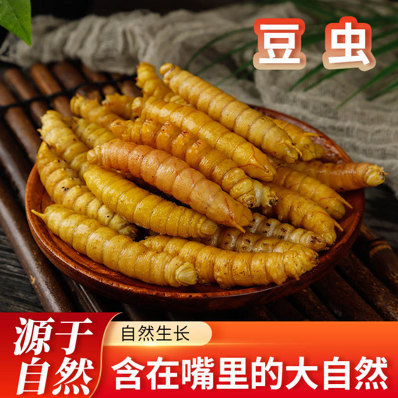 山东特产新鲜冷冻豆虫食用豆青虫豆天蛾油炸烧烤食材半斤包邮