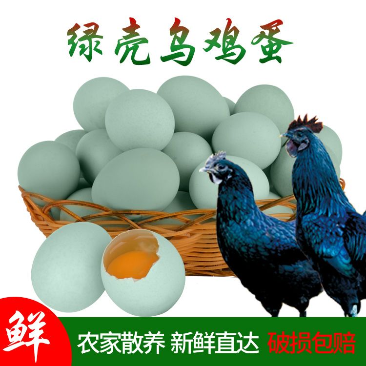 【小淘气专属】新鲜乌鸡绿壳蛋农家绿壳土鸡蛋多规格散养生态营养