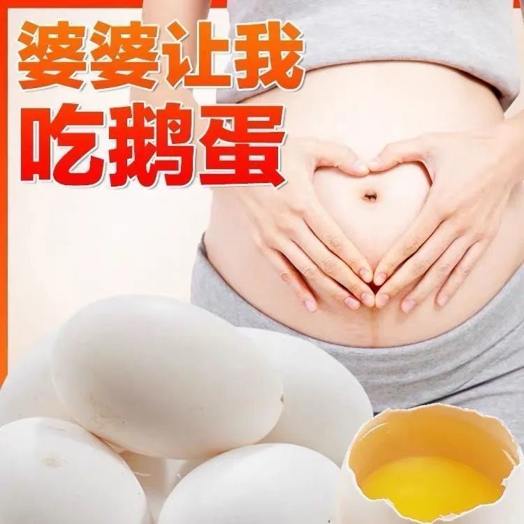 蛋鹅蛋新鲜农家鹅蛋正宗散养微山湖边喂养鹅蛋孕妇宝宝整箱包邮