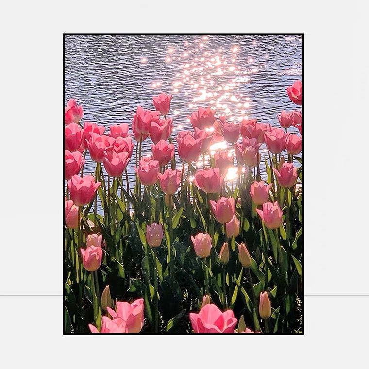 湖畔郁金香/尺寸：65X80大格四股线绣~28个色（蒙娜丽莎十字绣）