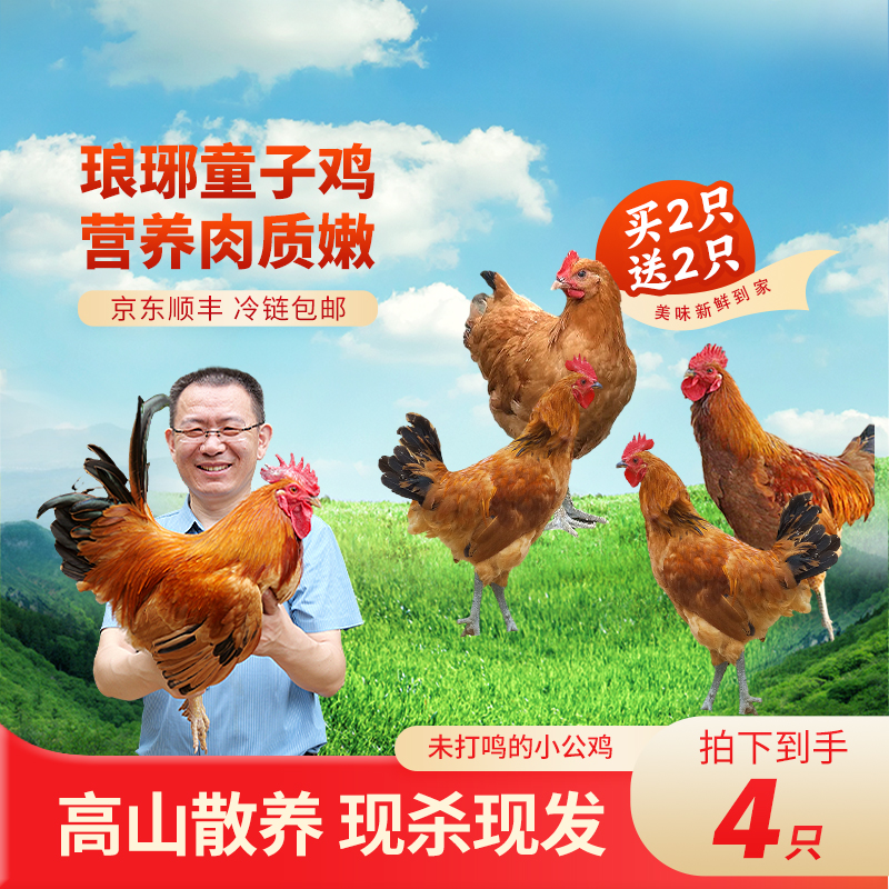 春游记（4只装）琅琊童子小公鸡散养3-4个月四只保底6斤以上7斤左右