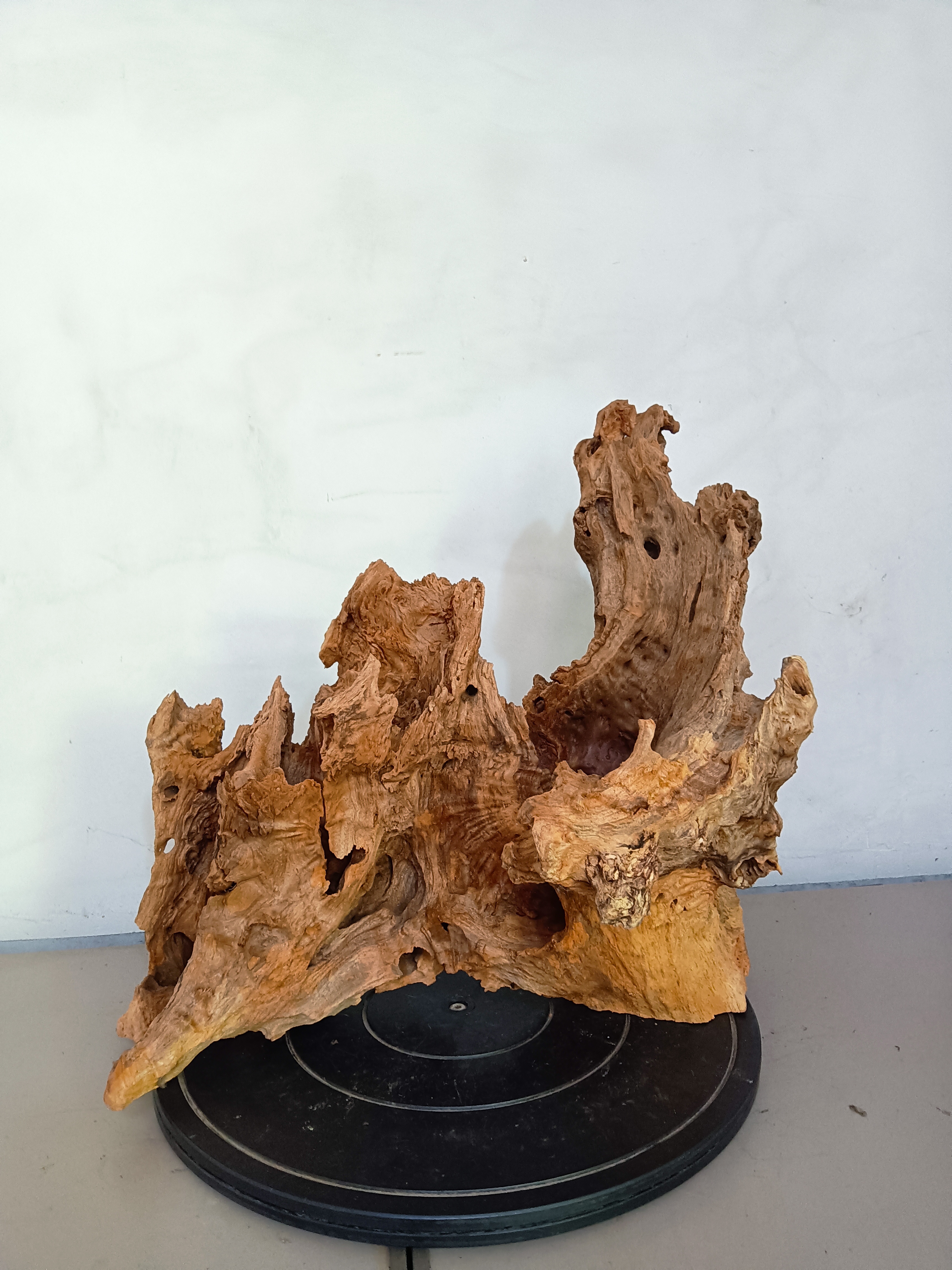 广西大瑶山风化木摆件没有打磨高29长42