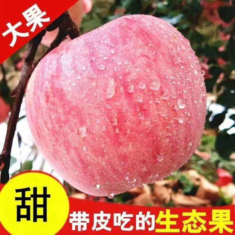 红富士苹果脆甜可口