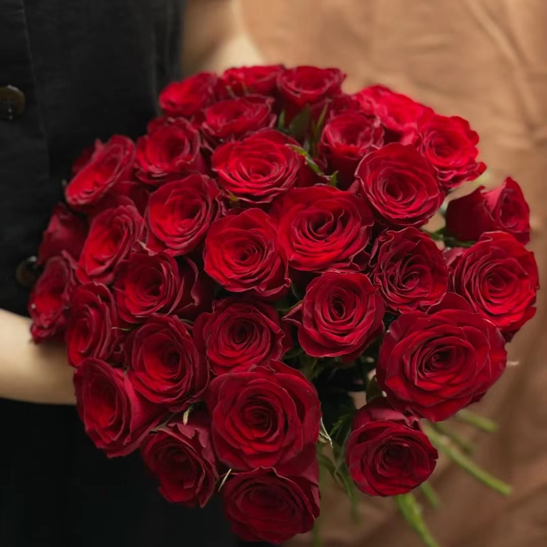 传奇---单头玫瑰--热烈鲜艳（实物直播间展示为准）