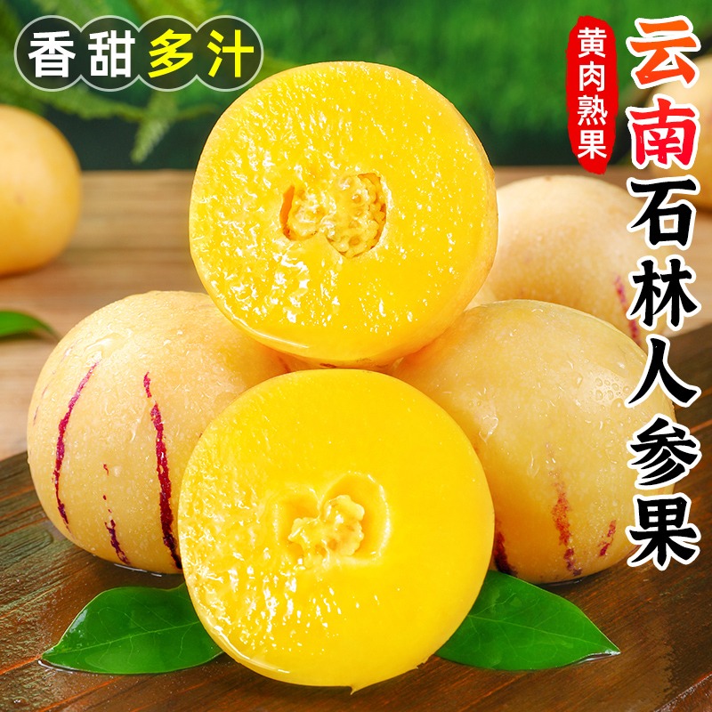 【清甜低糖】新鲜云南石林人参果圆果皮薄多汁 k