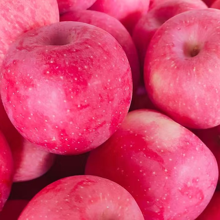 精选陕西乾县正宗红富士高端苹果新鲜脆甜苹果水果