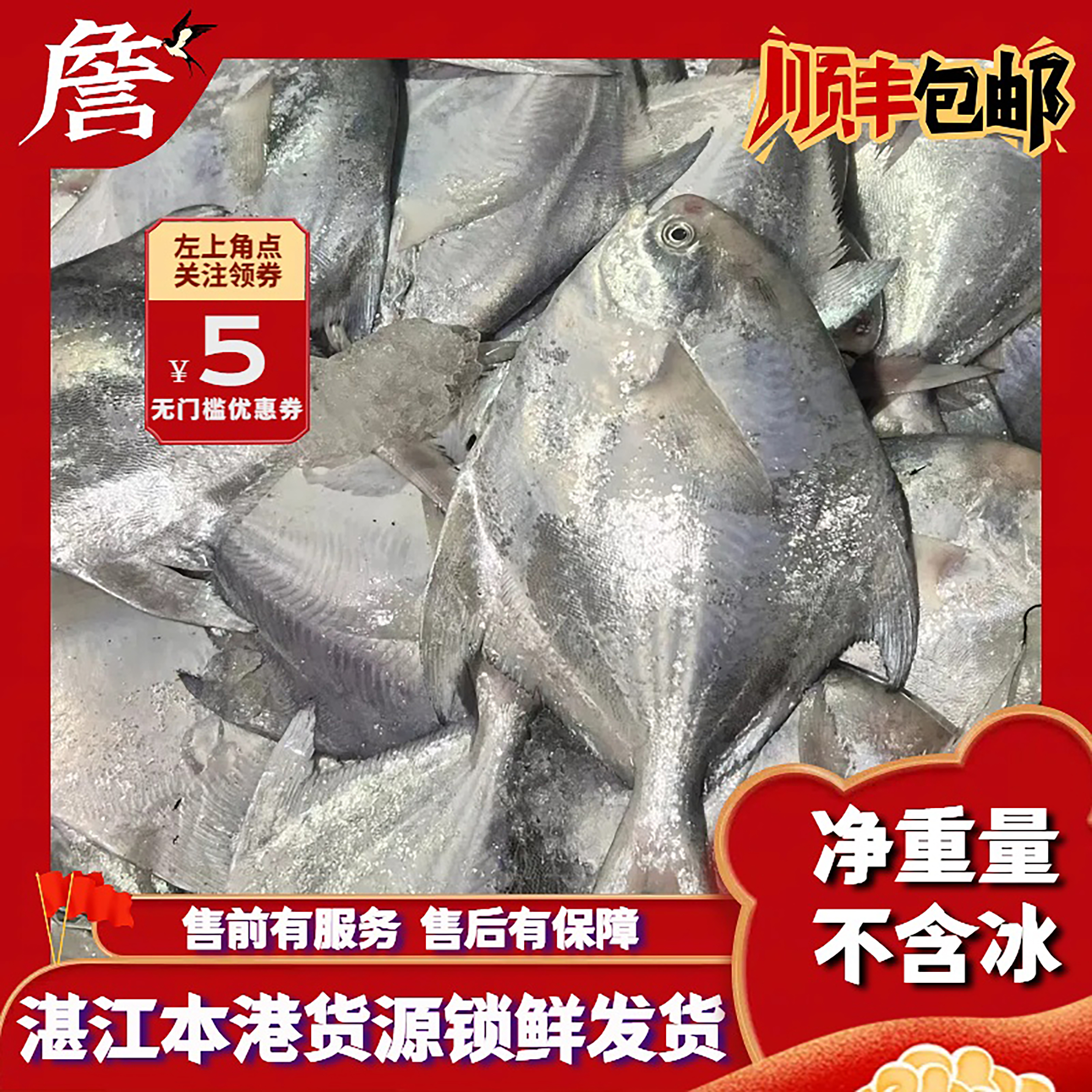 湛江本港小银鲳 野生海鱼 顺丰冷链包邮