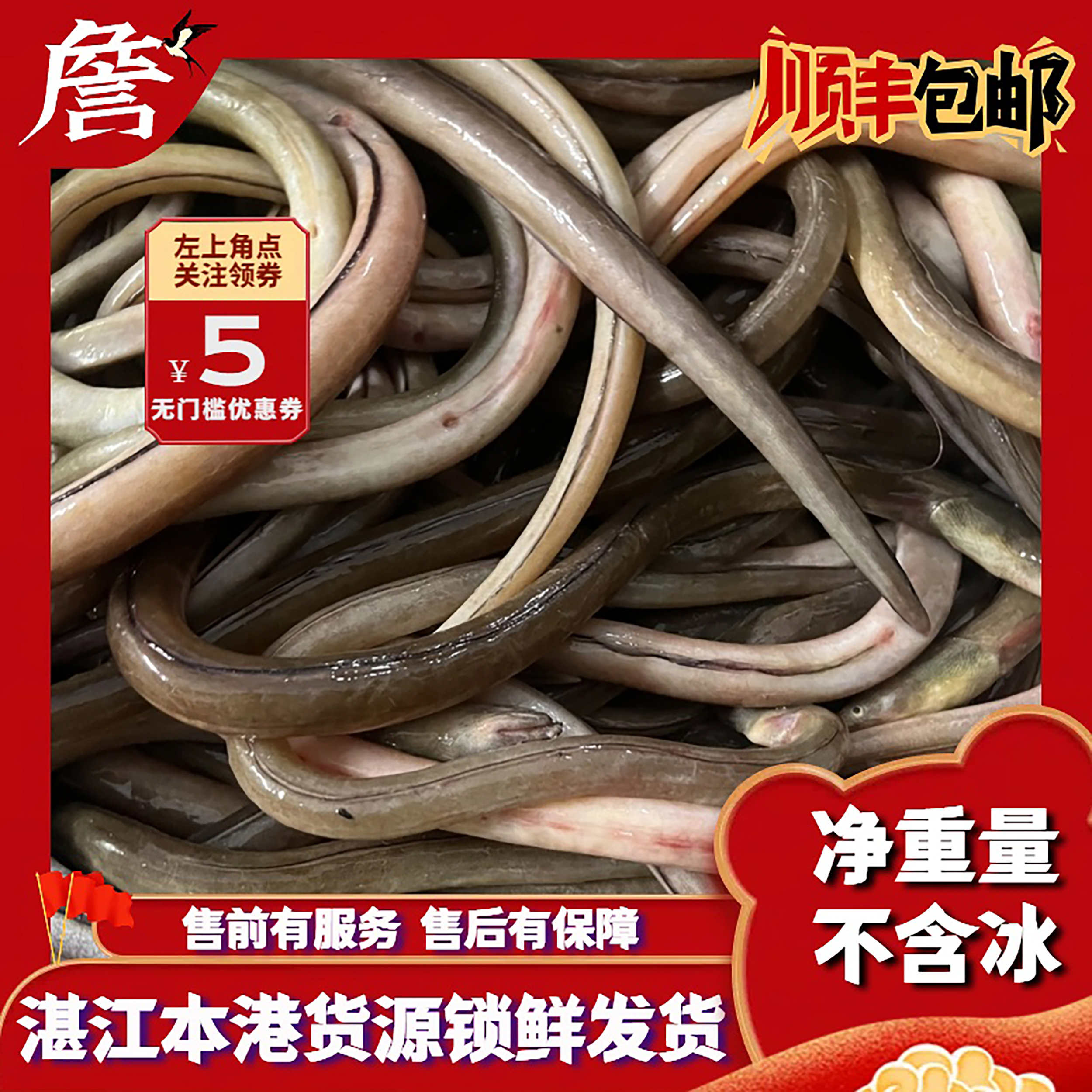 湛江本港海鳝 野生海鱼 顺丰冷链包邮