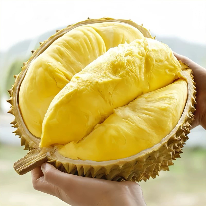 黄金普雅榴莲带壳榴莲【拍一发三】