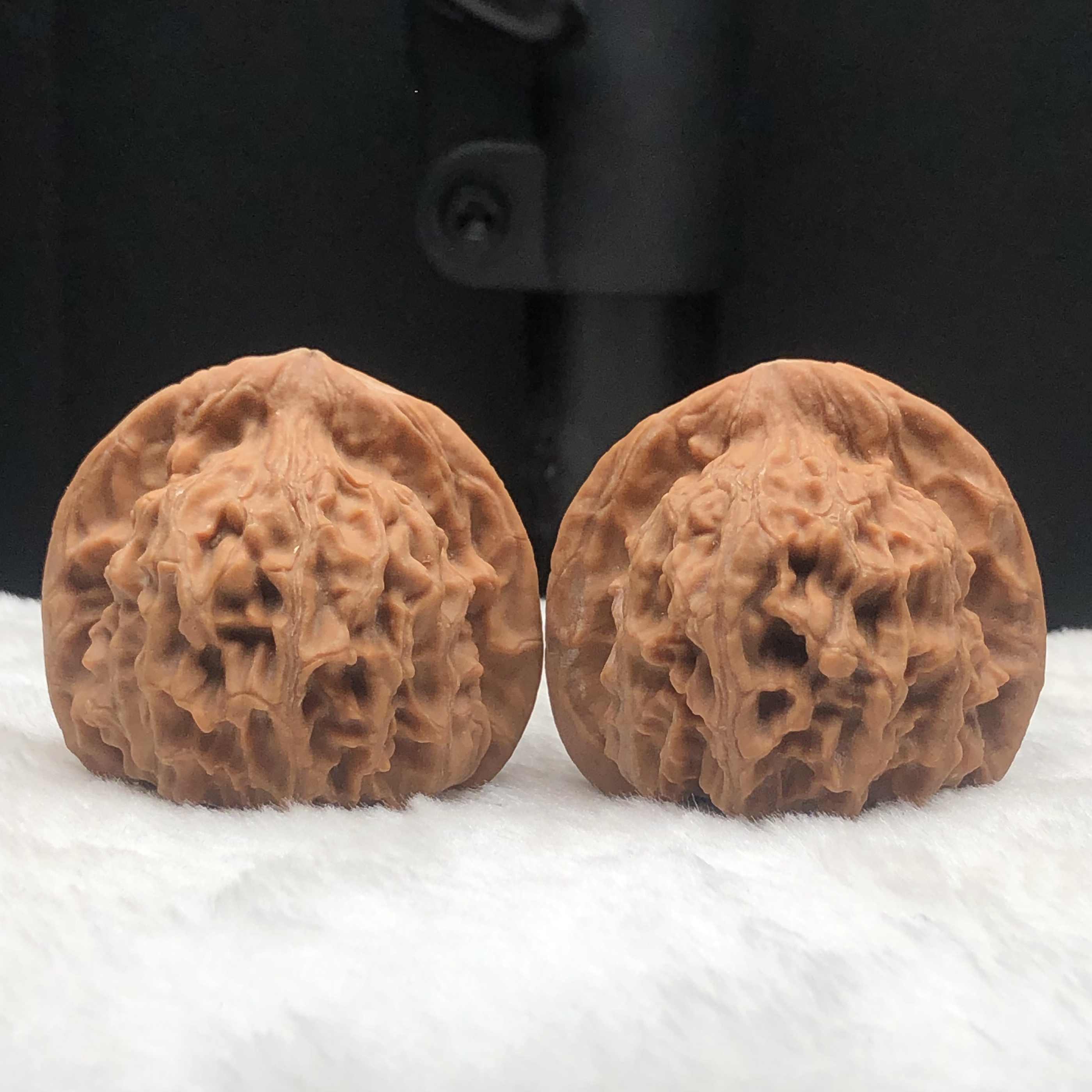 41二爷帽天地狮子头 一物一图 有点小水尖