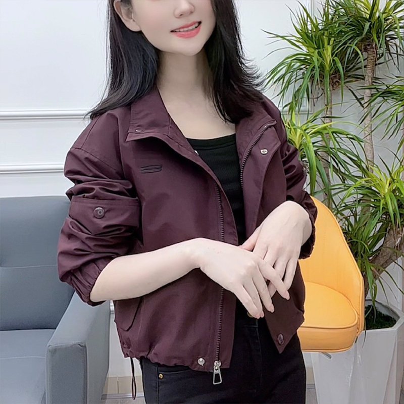 小个子高级感夹克短外套女2024年秋季新款时尚洋气减龄拉链上衣潮