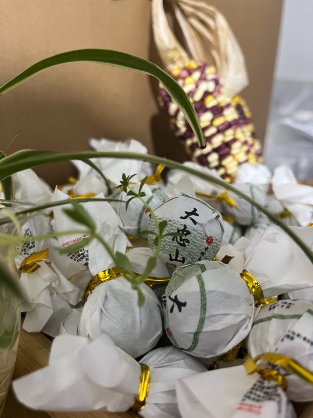 大忠山2022年春茶 8克龙珠10颗（普洱茶）生茶