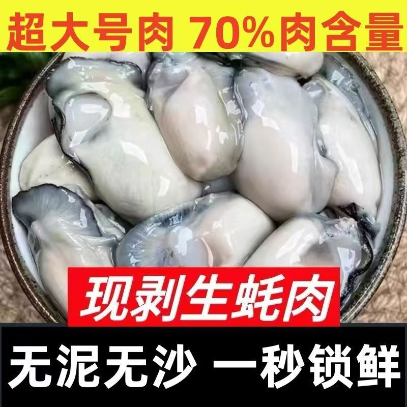 【无壳纯肉】生蚝肉新鲜鲜活现剥生蚝肉去壳牡蛎肉生蚝肉超大号