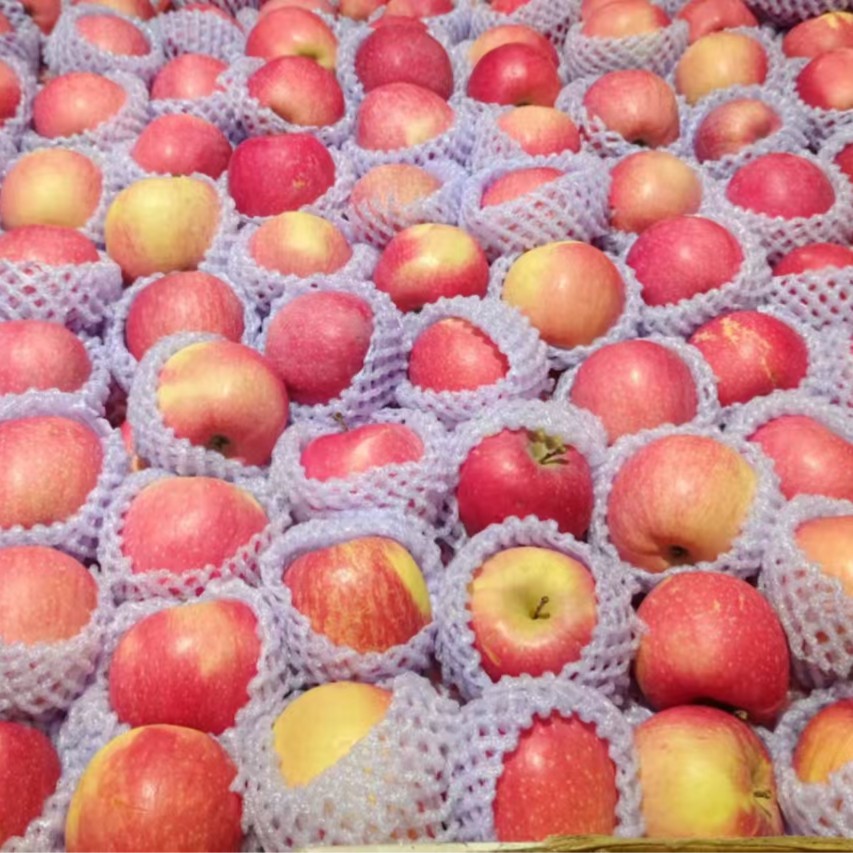 【惠好１小时送达】红富士80苹果   10.98/斤