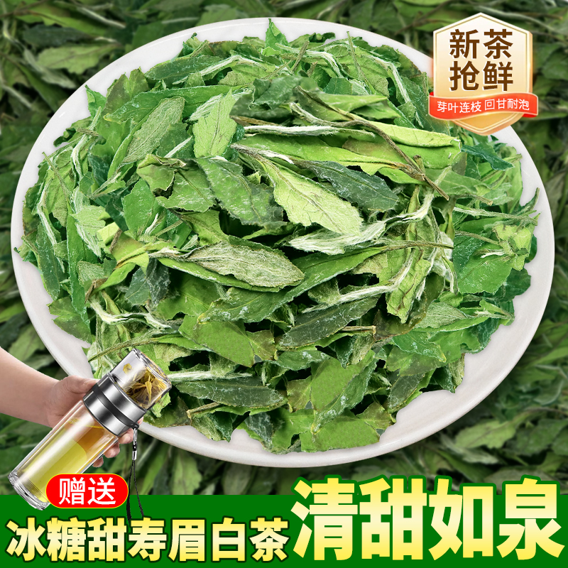 白茶2025年新茶福建头采白茶春茶叶一级花香冰糖香寿眉非特级散茶