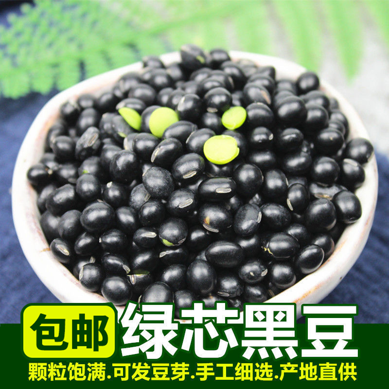 黑豆东北农家自产黑皮绿芯小黑豆新鲜五谷杂粮颗粒营养食用皮薄