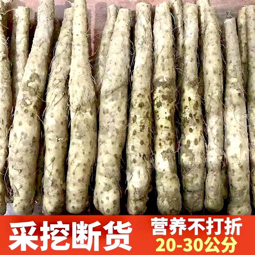 正宗温县垆土铁棍淮怀山药铁杆新挖断山药3——5斤营养新鲜香甜粉糯