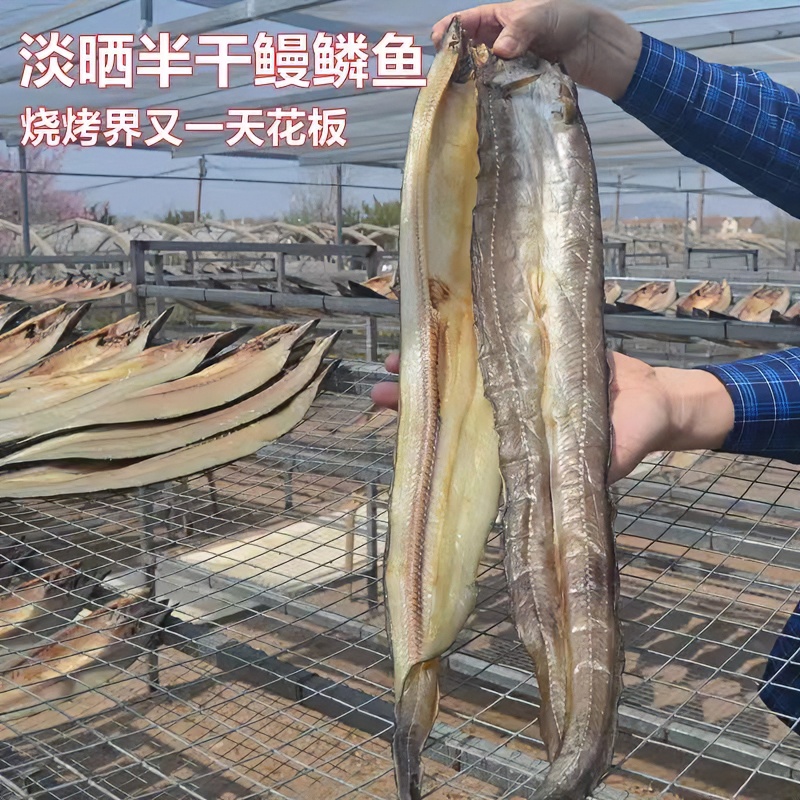 油鳝鱼干荣成自然晾晒一卤鲜4成干鳗鱼鱼干