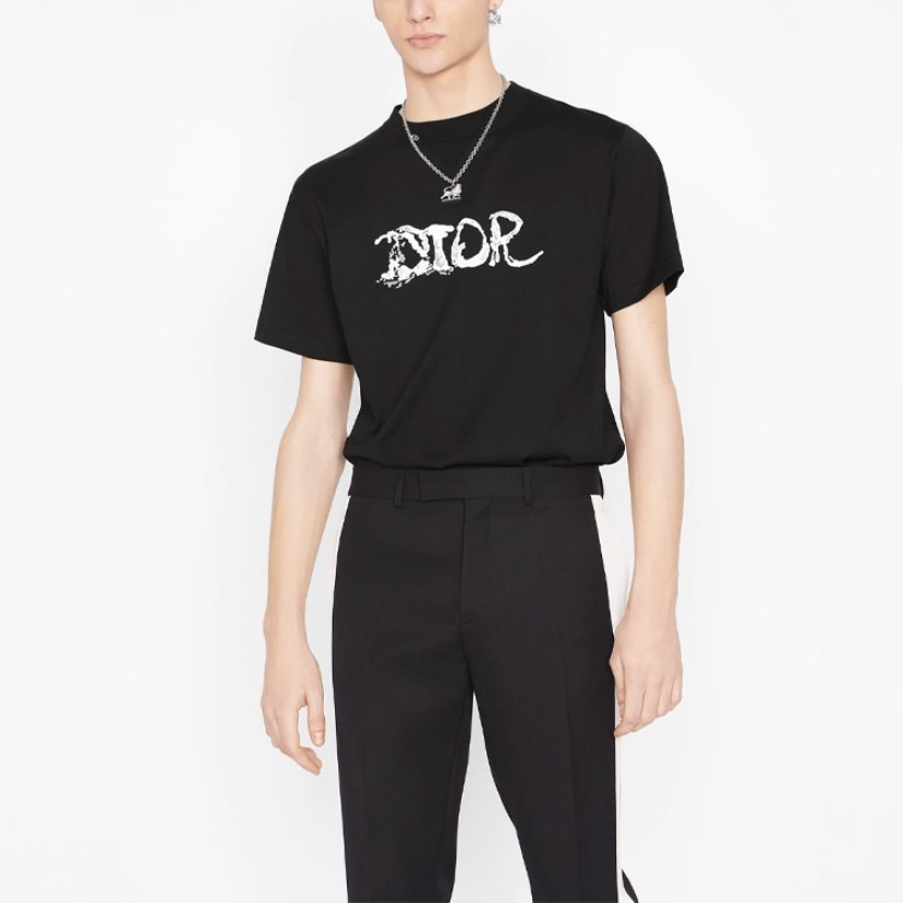 CQ Dior x Peter Doig刺绣短袖/XL码/98新/公价6000/54648