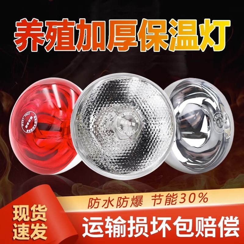 k加厚保温灯小鸡仔猪育雏用防水防爆节能养殖专用加热取暖箱灯泡