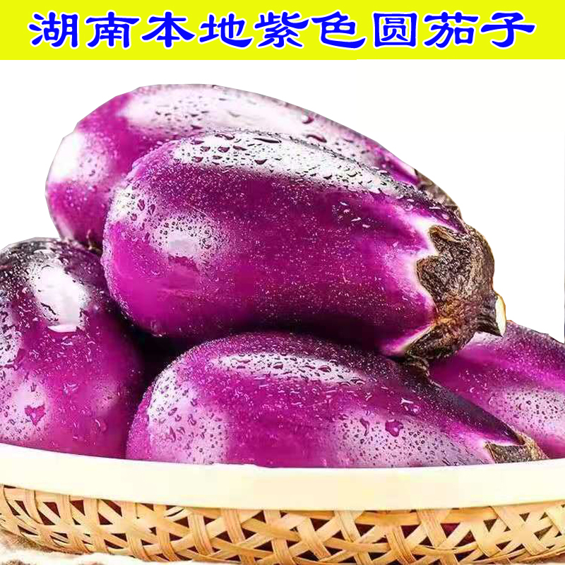 湖南耒阳新鲜紫皮茄子农家自种露天种植现摘现发新鲜软糯3斤包邮