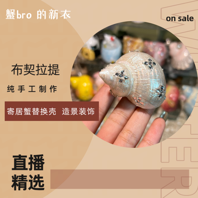“布契拉提”寄居蟹手工替换壳原创纯手工制作造景装饰