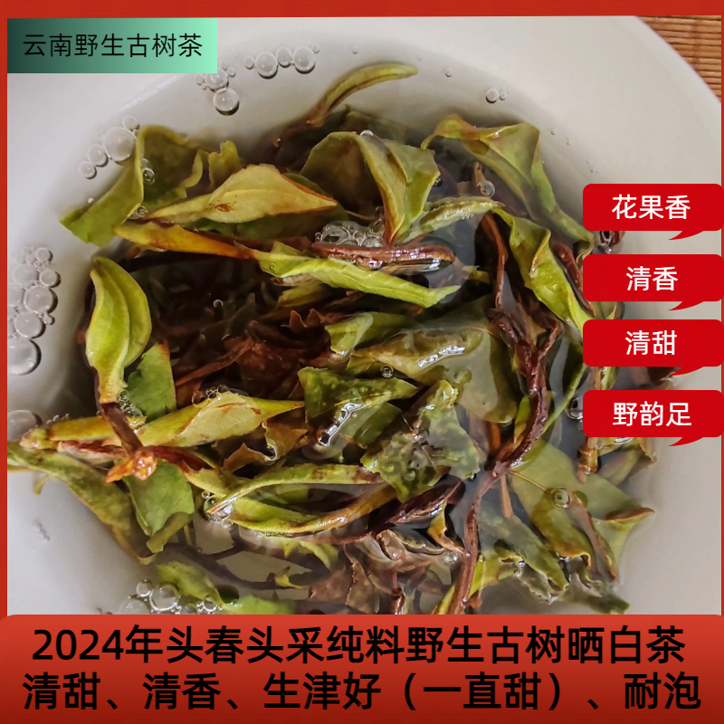 【雪竹林】2024云南正宗特级高山野生高杆古树头春荒野白茶清香清甜