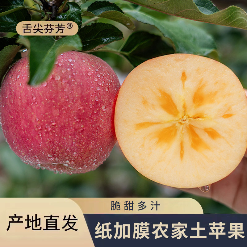 【水晶红富士】精选高山红富士苹果脆甜多汁孕妇水果产地直发