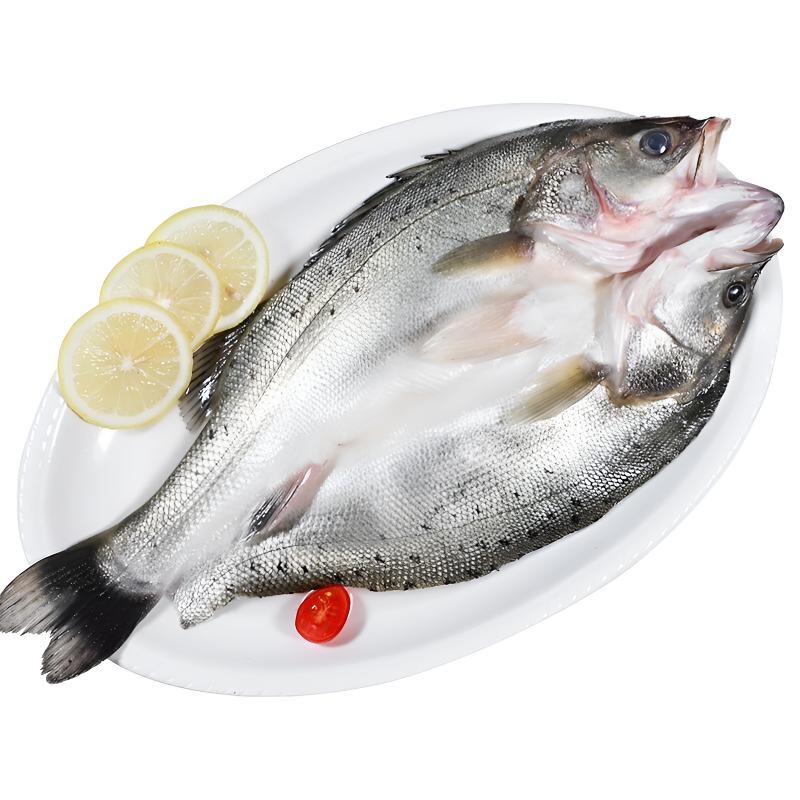 连云港发货  新鲜速冻生鲜 美味开背处理鲈鱼 400-500g/条*5条