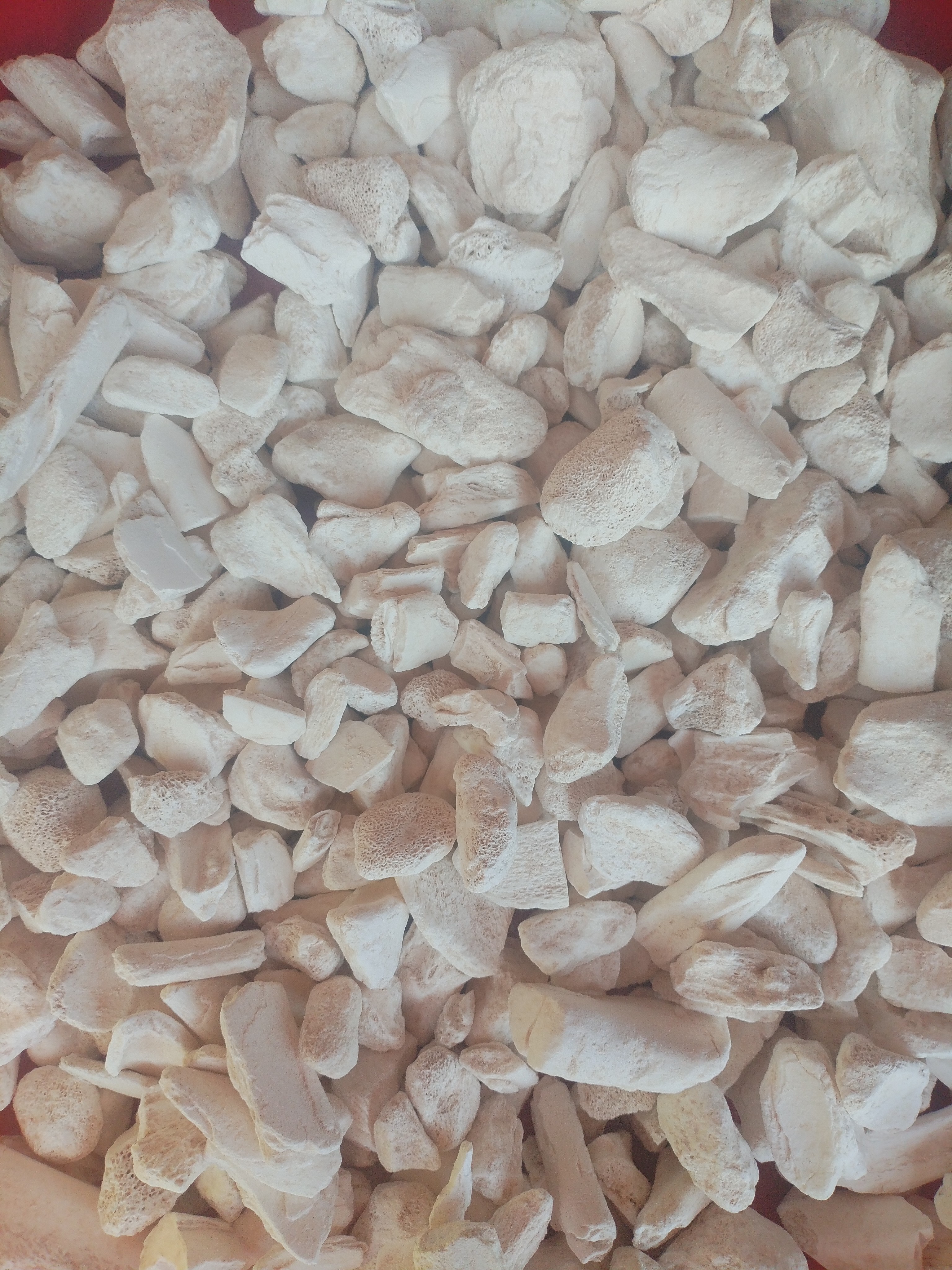 土特产≈[≈古≈]非香菇