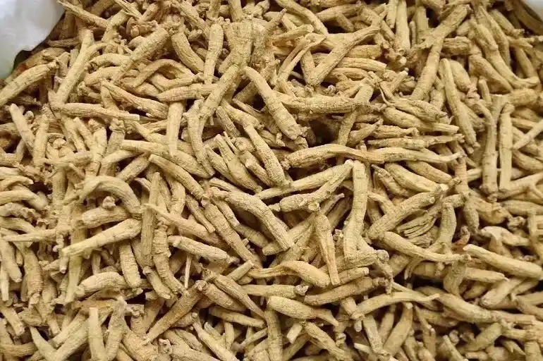 土特产≈[西≈样≈参]非香菇