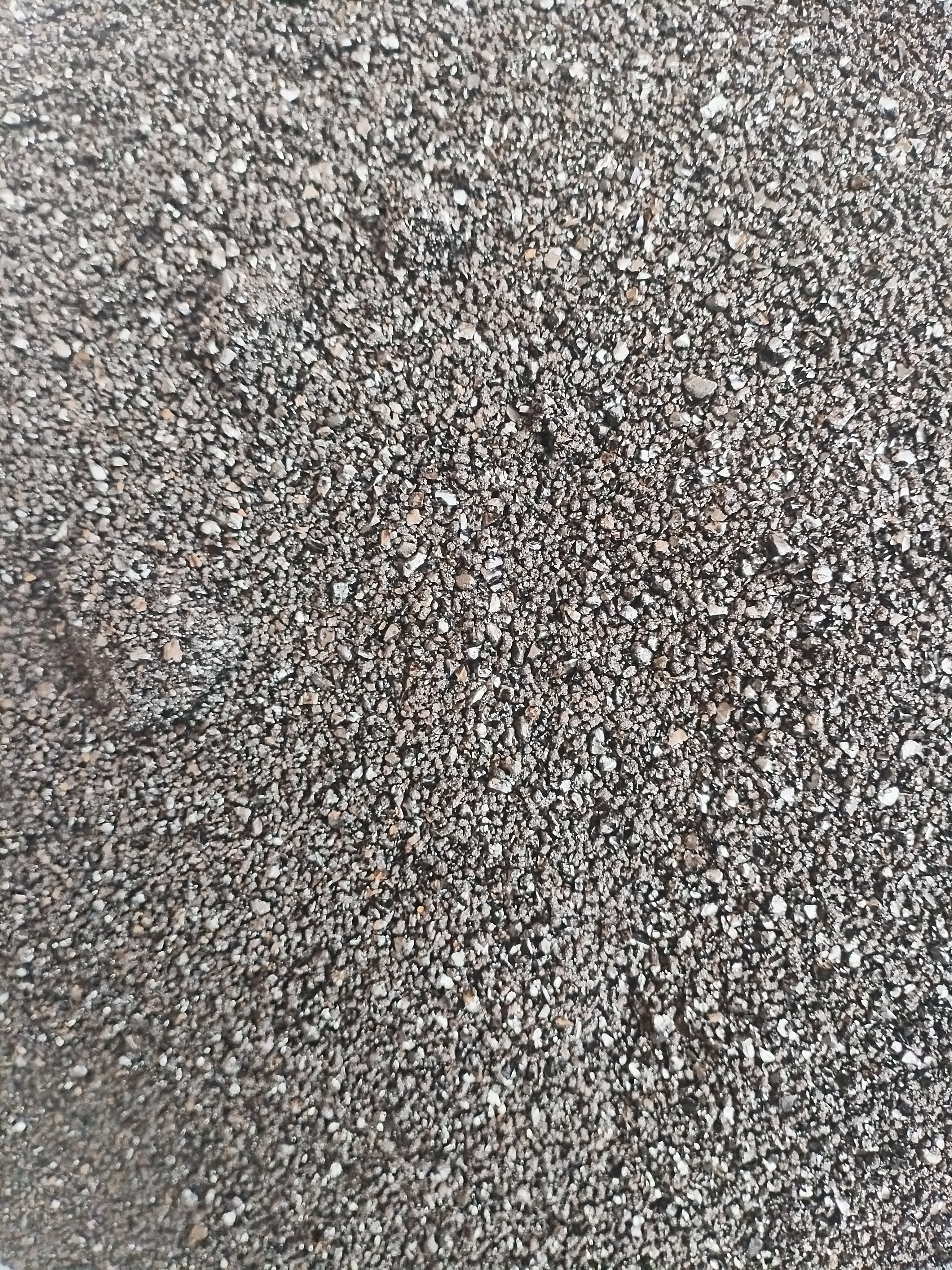 土特产≈[≈黑≈]非香菇