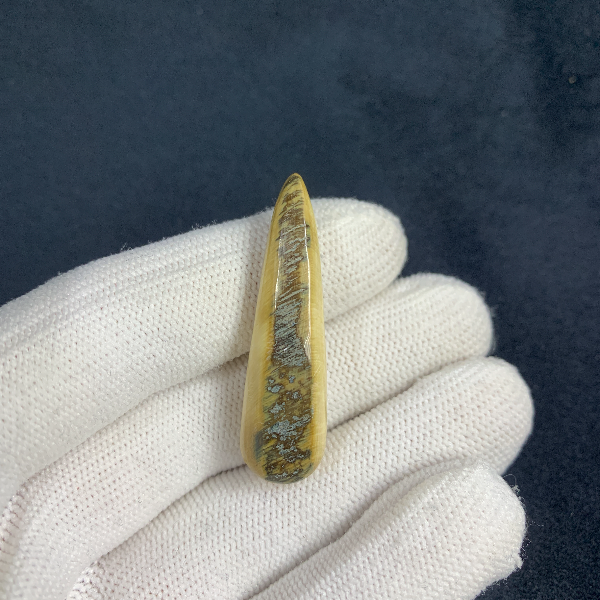 B6434天然猛犸牙精品牙尖 支持鉴定 假一罚四