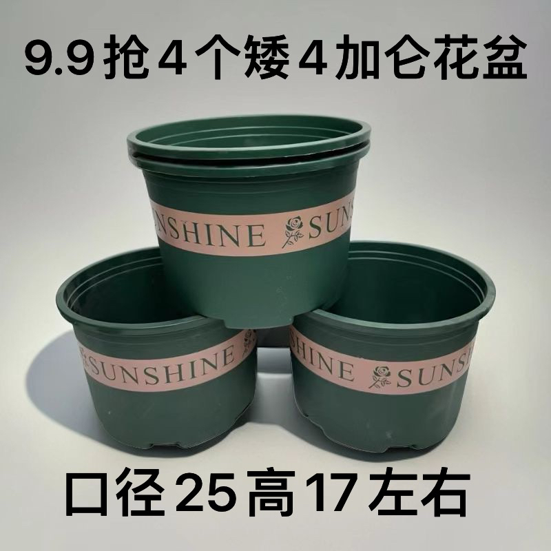 4个（口径25高17左右）矮25绿4加仑花盆