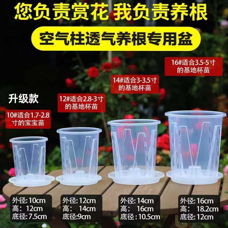 蝴蝶兰专用花盆空气柱透气控根盆新款兰科高透明塑料圆形桌面花盆