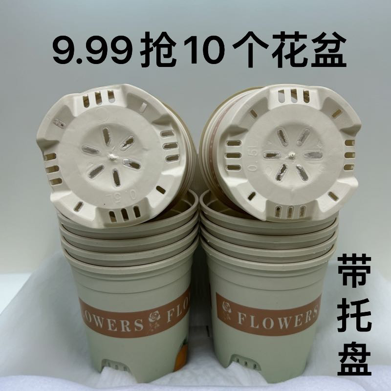 10个米白（口径13.5高13.5）140加仑花盆带托盘