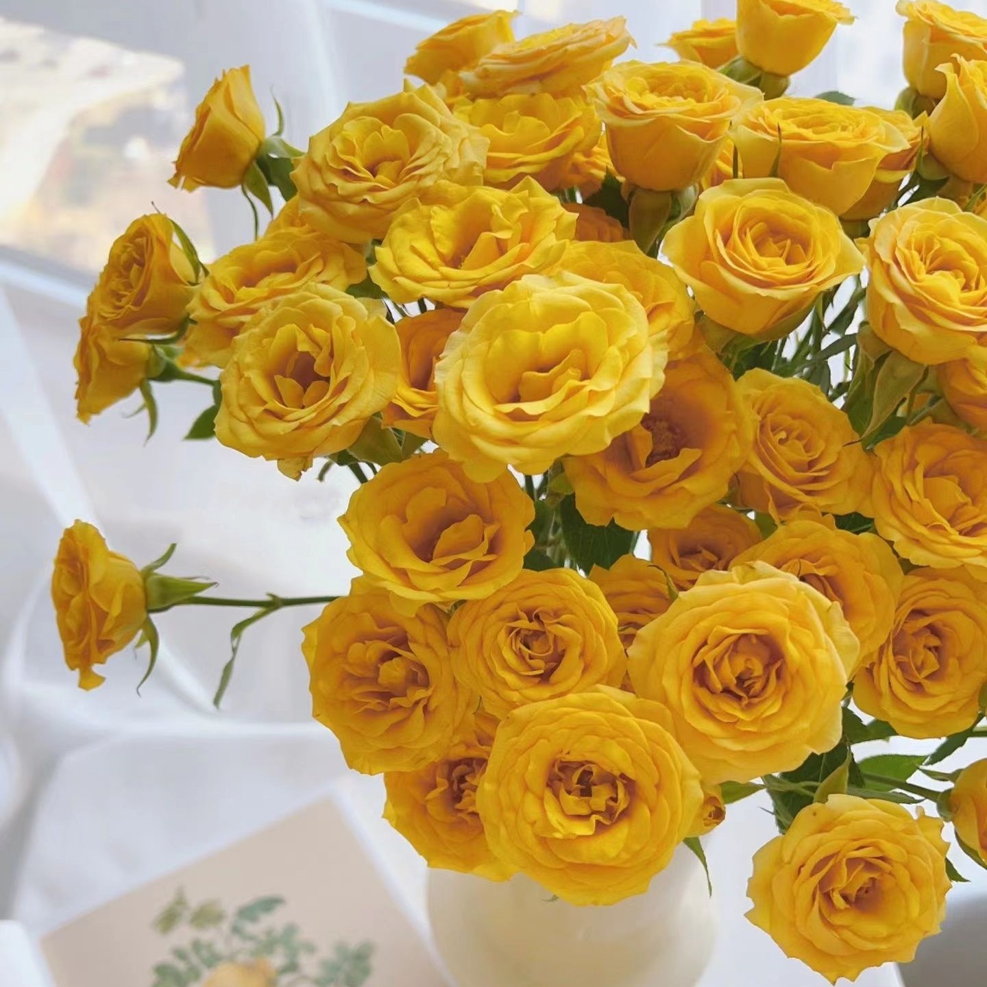 【福利爆款】梦幻多头玫瑰 多头泡泡玫瑰 现货包邮  梦幻芭比