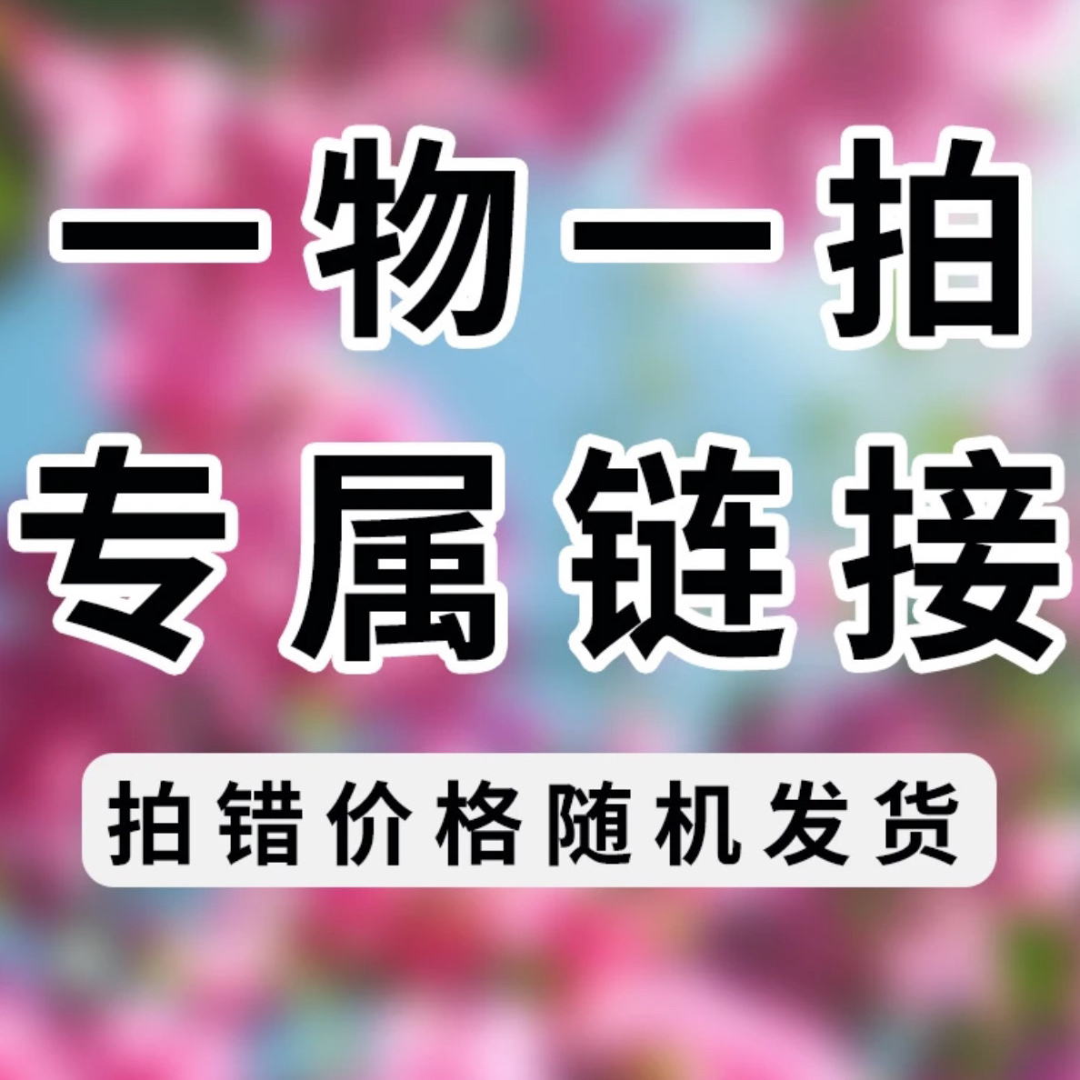 三角梅爬藤 一物一拍 下单送肥料