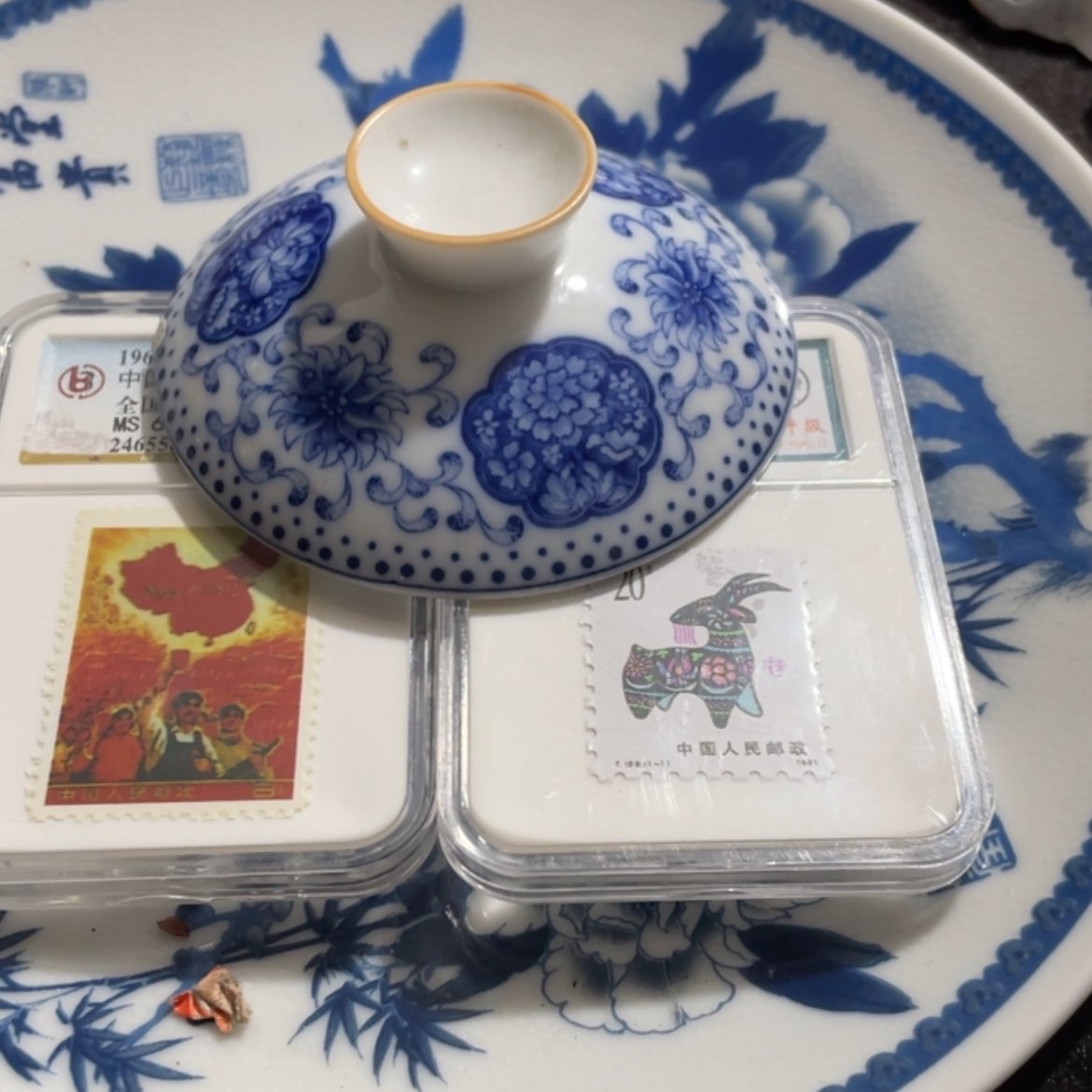 【闪购商品】陶瓷陶瓷