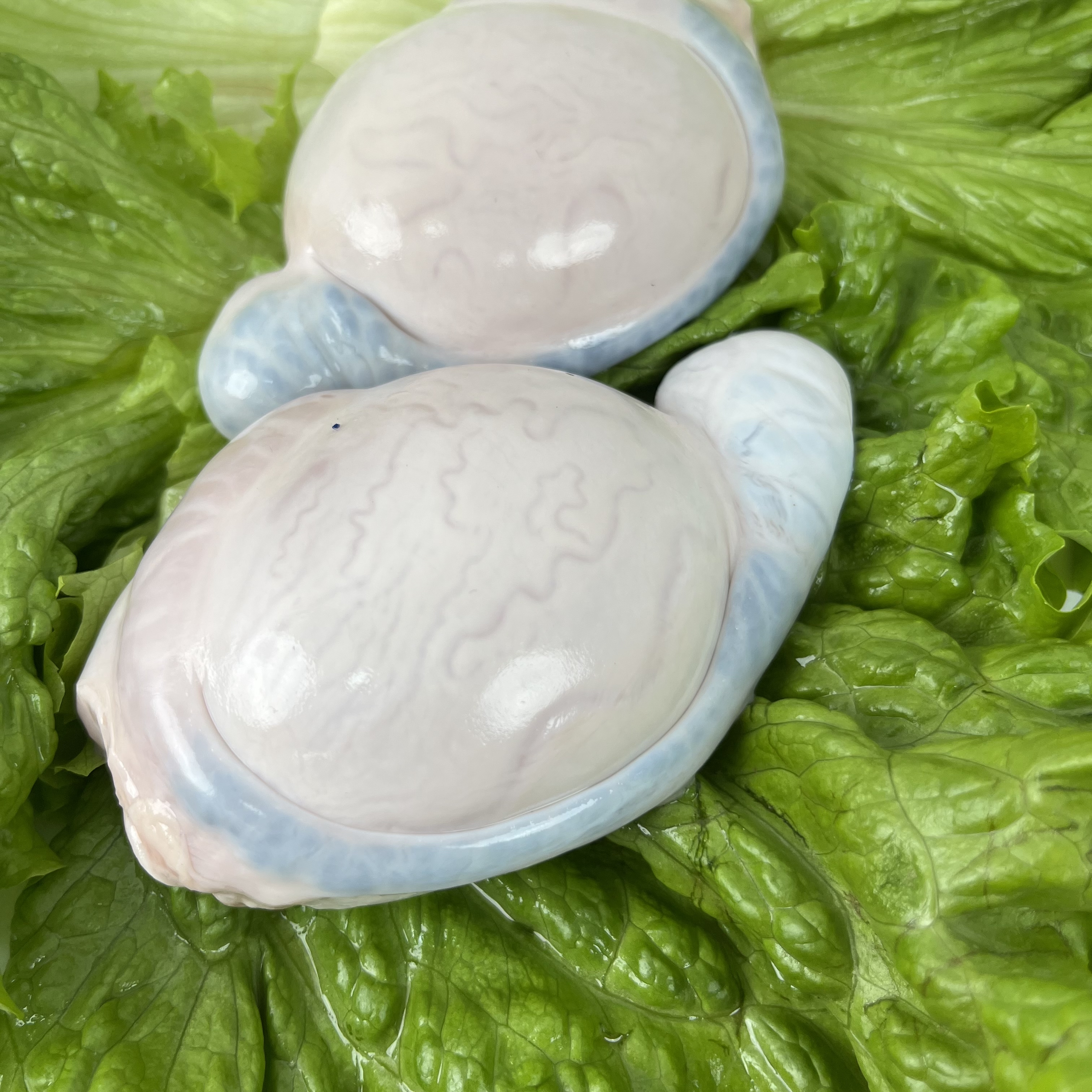 【京东冷链4斤】沂蒙山跑山羊羊宝羊蛋羊嘎子