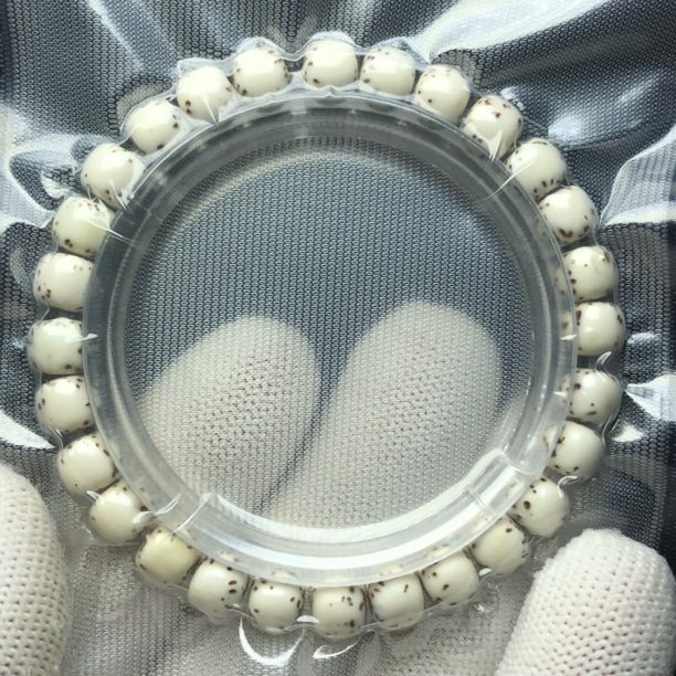 星月菩提8×7手串原生态无月大留白